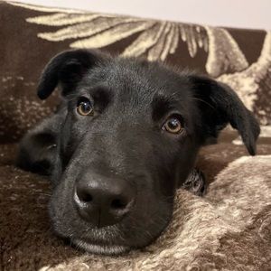 Meet your Posher, Marcos